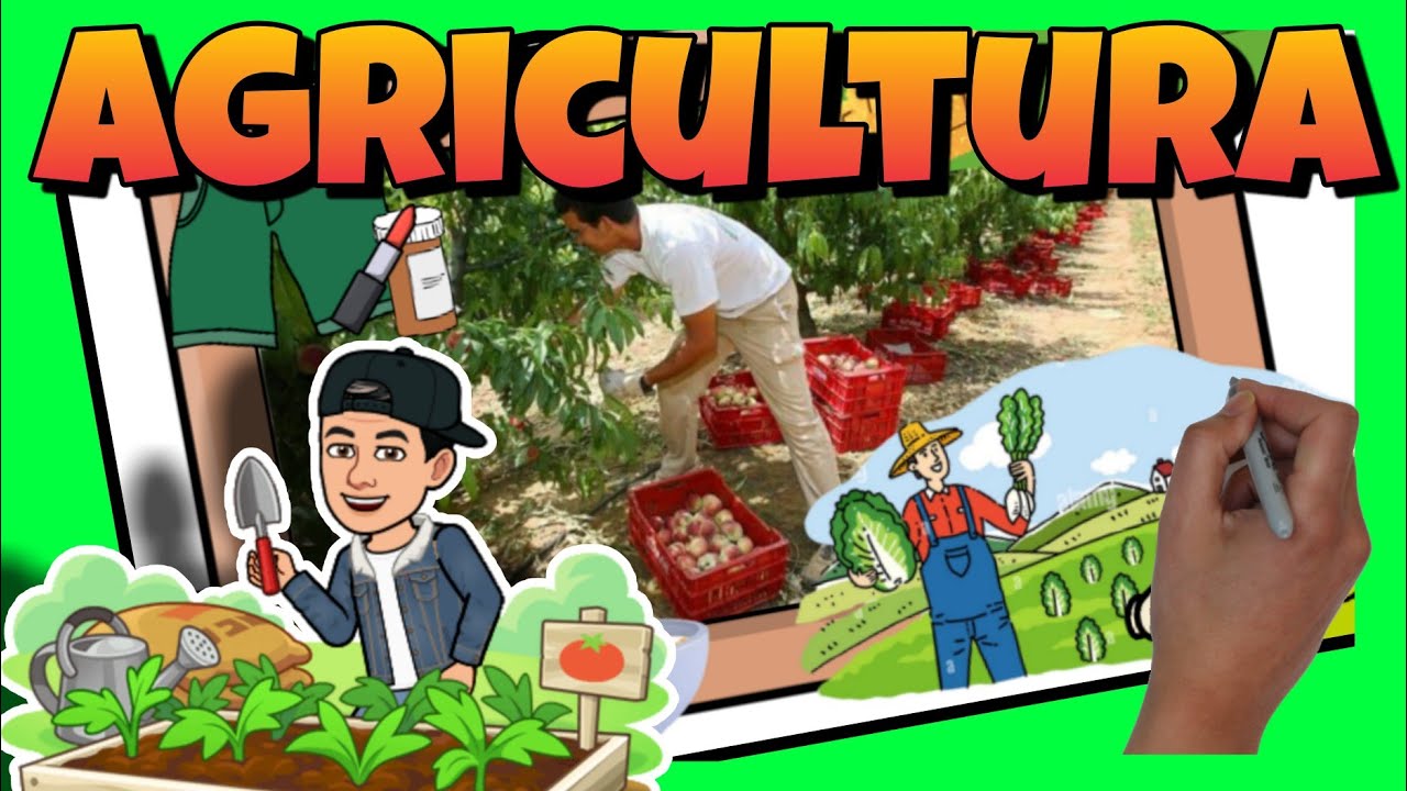 👨‍🌾 ¿QUÉ es la AGRICULTURA? | Vídeo educativo para NIÑOS