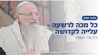 כל מכה - עליה לקדושה | הרב שמואל אליהו | הלכה יומית | כ״ב אדר תשפ״ו (הרב שמואל אליהו) - התמונה מוצגת ישירות מתוך אתר האינטרנט יוטיוב. זכויות היוצרים בתמונה שייכות ליוצרה. קישור קרדיט למקור התוכן נמצא בתוך דף הסרטון