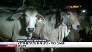 Download lagu KPPU Datangi Rumah Pemotongan Hewan mp3 Download lagu KPPU Datangi Rumah Pemotongan Hewan mp3