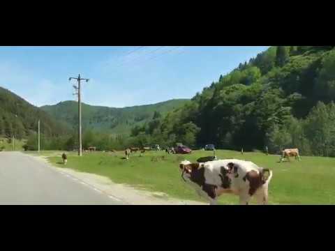 Zeci de sibieni la Curmătura Ștezii