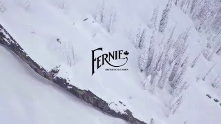 Fernie Wilderness Catskiing