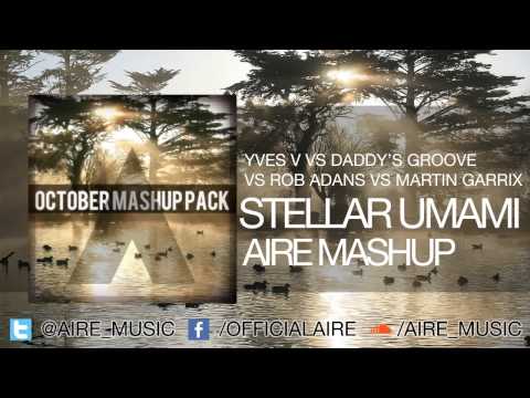 YVES V VS DADDY'S GROOVE VS MARTIN GARRIX VS ROB ADANS - STELLAR UMAMI (AIRE MASHUP)