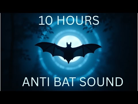 🔊 10 Hour Ultrasonic Bat Repellent Sound | Keep Bats Away Naturally | Anti Bat Sound (No Chemicals)