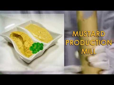 Colloid mill machine for mustard preparation