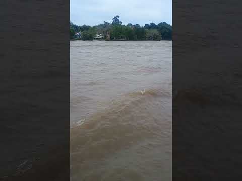 Tigre, 07/12/25, 14:25 horas... Buenos Aires...