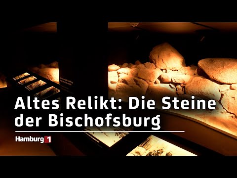 850 Jahre in die Vergangenheit: Hamburgs ältestes Burgfundament im Museum
