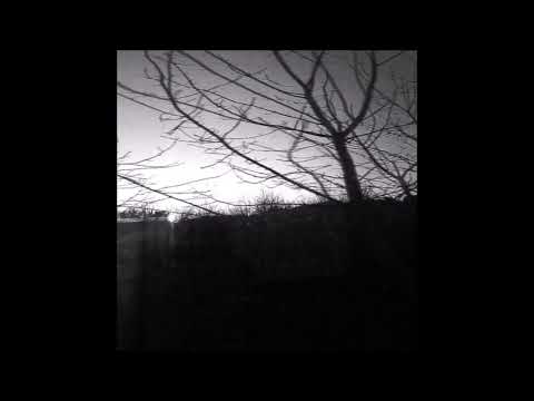 01. The Virus and Antidote - WeDon'tWantYouHere