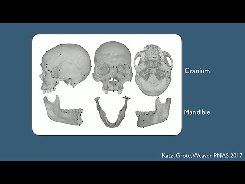 CARTA Presents The Origins of Today's Humans - Tim Weaver: The Evolution of the Human Skull