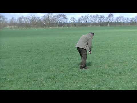 01 Lægger et begynder spor