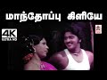 Manthoppu Kiliye Song மாந்தோப்பு கிளியே மலேசியா வா