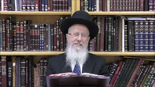 הגאון הרב אברהם יוסף שליט"א האם ביצה שנמצא בה דם בשבת יחשב כמוקצה (הרב אברהם יוסף) - התמונה מוצגת ישירות מתוך אתר האינטרנט יוטיוב. זכויות היוצרים בתמונה שייכות ליוצרה. קישור קרדיט למקור התוכן נמצא בתוך דף הסרטון