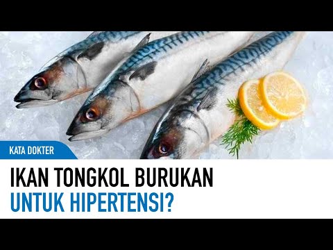 Telur dan Ikan Yang Baik Untuk Hipertensi | Kata Dokter