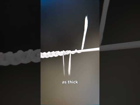 How Strong Is Spider Silk? 😮