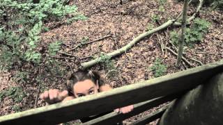 "The Game" Meredith O'Connor