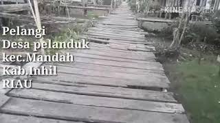 preview picture of video 'Desa pelanduk pelangi kec.mandah'