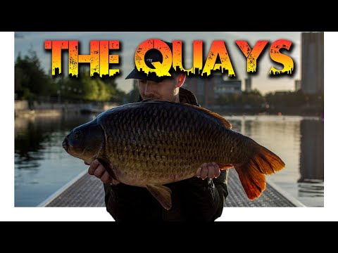 URBAN CARP FISHING - THE QUAYS