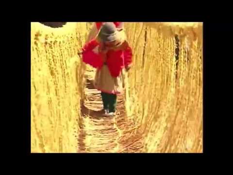 WAYNAWARI  -  Wari Dreams