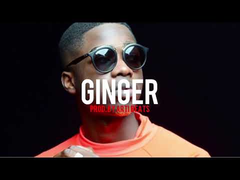 [FREE] MHD x WizKid Type Beat “GINGER”