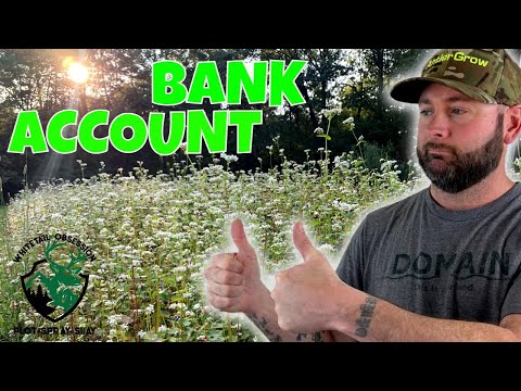 BUCKWHEAT The Food Plot Power Crop! 🌱🦌✔🤑