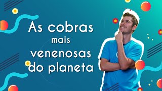 As cobras mais venenosas do planeta - Brasil Escola