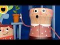 Awesome Pet Tricks The Totems Sesame Studios