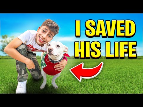 We Saved a Puppy's Life! ❤️