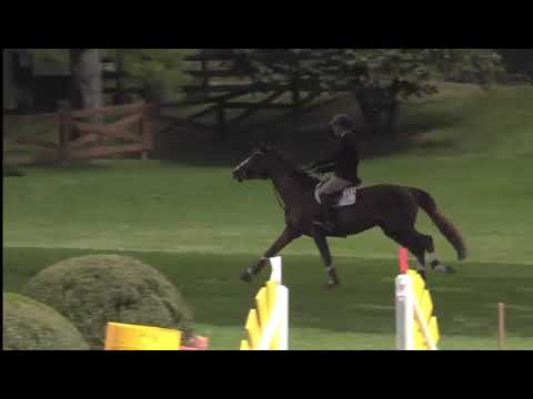 Eclat du Cerisier et Rodrigo Pessoa - CSI Old Salem 1,30m