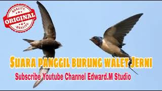 Download lagu 12 Jam !! Bunyi Panggil Burung Walet Gred Super Terbaik!!! Ilmu Pelet  Burung walet mp3