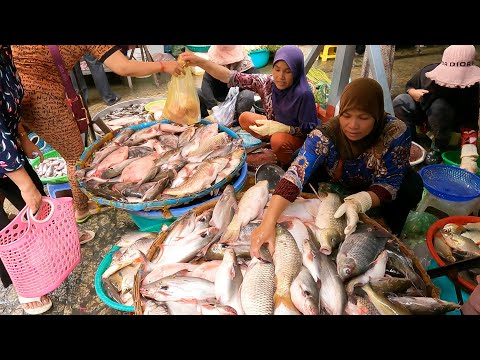 Ever Seen Cambodian Wet Market - Plenty of Fresh Fish, Vegetables & Meat - Amazing Food Tour