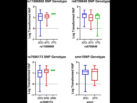 Mann-Whitney-Wilcoxon test In R