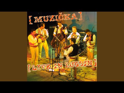 Pomaľi ovečky (Live)