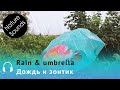 🌧 3 hours of rain over the umbrella. Sleep well and study 🦔 Nature Sounds ♪