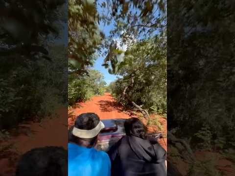 Barreiras do Piauí | Rio Parnaíba