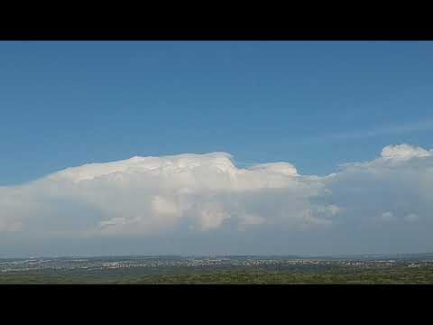 Pileus Timelapse