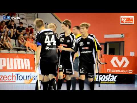 2013 B14 Winner: Steelers Gold from Finland