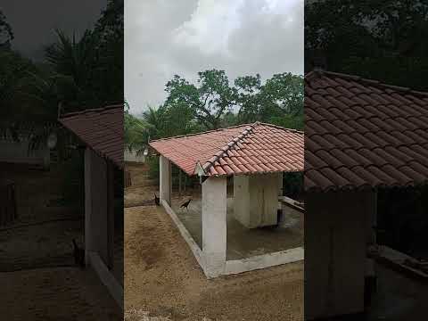 Chuvinha Chegando em Apuiarés-CE