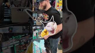 $500 Pokémon Slab... ‘It’s Going where? 💀😂 #pokemon #pokemoncards #poke #tcg #cards