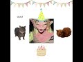 ITS MEL’S BIRTHDAYYYYYYY HAPPY BDAY MEL