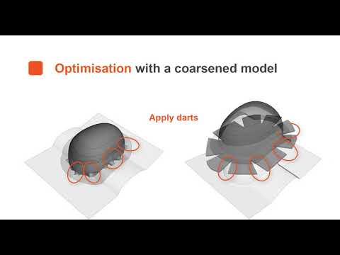 AniForm Demo: Optimisation workflow