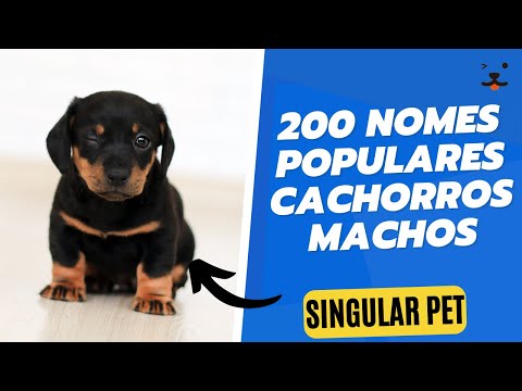 200 Nomes populares cachorros machos