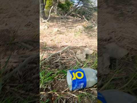 23 de diciembre de 2025