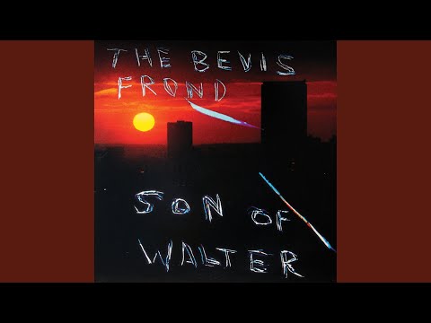 You Saw Me Coming - The Bevis Frond