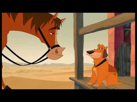 Mucche Alla Riscossa - Buck Il Cavallo Dello Sceriffo! #buck #horse #funny #viral