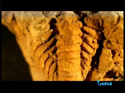 Intervento di Luca Simonetto - SentieriNatura 2014 - 09