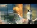 Columbia Tristar Home Entertainment Logo 2003 DVD HD