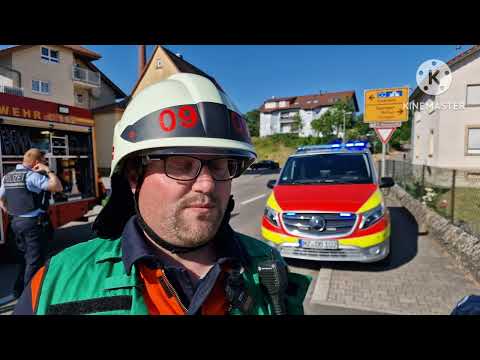 Sinsheim-Reihen - Regionalbahn kollidiert mit Transporter