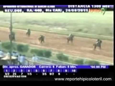 Resumen Lunes 26 de Septiembre de 2011 - Rancho Alegre