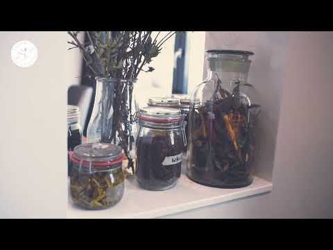 Restaurant »Macionga« - Berlin Taste Twelve 2024