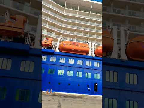 Thumbnail for Miami Cruise Port #shorts  #miami #florida #usa #india #travel #follow