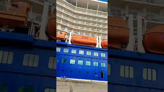 Miami Cruise Port #shorts  #miami #florida #usa #india #travel #follow